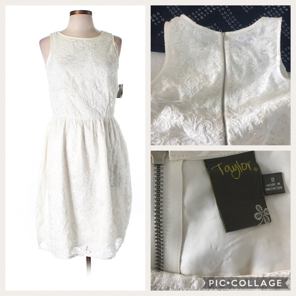 Taylor Dress Ivory Midi Lace Detail size 8 NWT